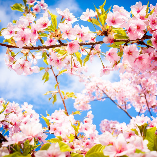 Hd-141757-ascw141757