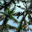 Shenzhen - Park Lichti