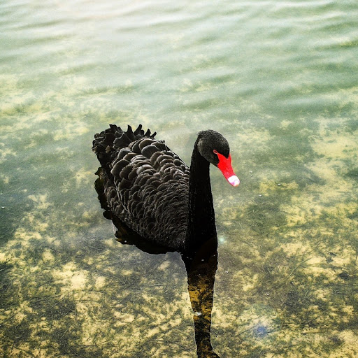 Hd-180099-ascw180099