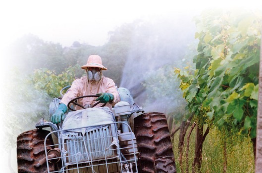 [C%25C3%25A2ncer%2520ocupacional%2520poder%25C3%25A1%2520afetar%2520pelo%252020%2520mil%2520brasileiros%2520em%25202012%255B2%255D.jpg]