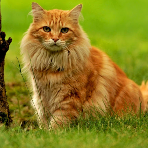 Hd-182408-ascw182408