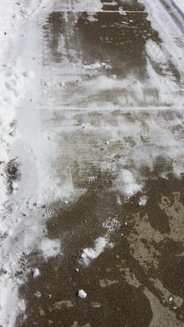 Spring sunshine breaks through the snow :^) (cell photo by Trisha)