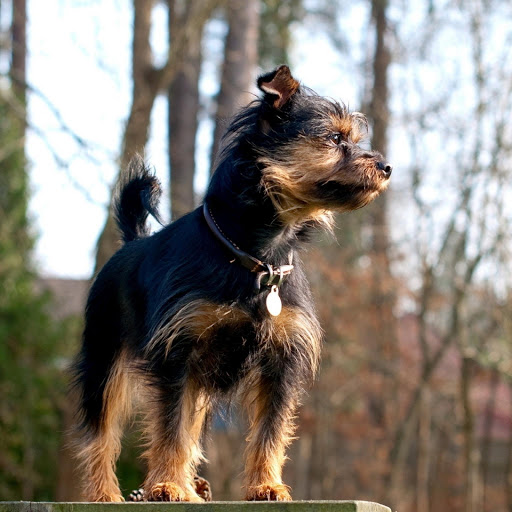 Hd-176239-ascw176239