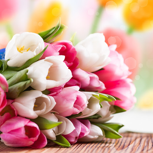 Hd-169850-ascw169850