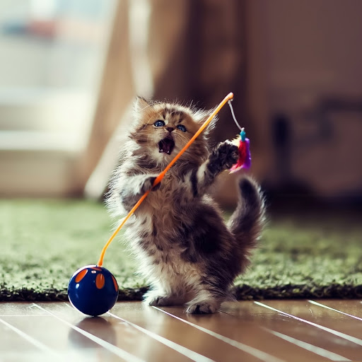 Hd-173545-ascw173545