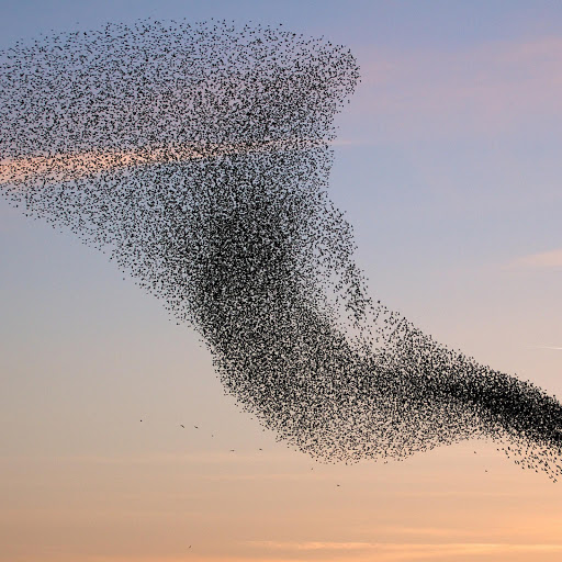 Hd-145432-ascw145432