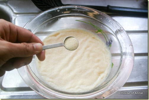 2-1/2 tsp gelatine powder blooming on 1 cup of soymilk