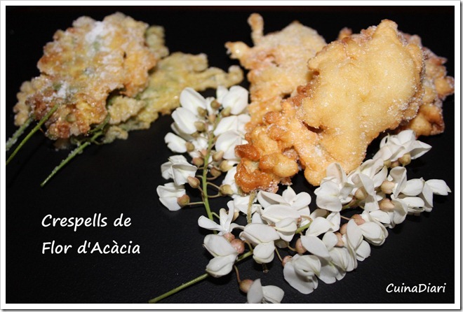 6-5-crespells de flor d acacia-ppal-ETI