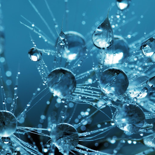 Hd-168708-ascw168708