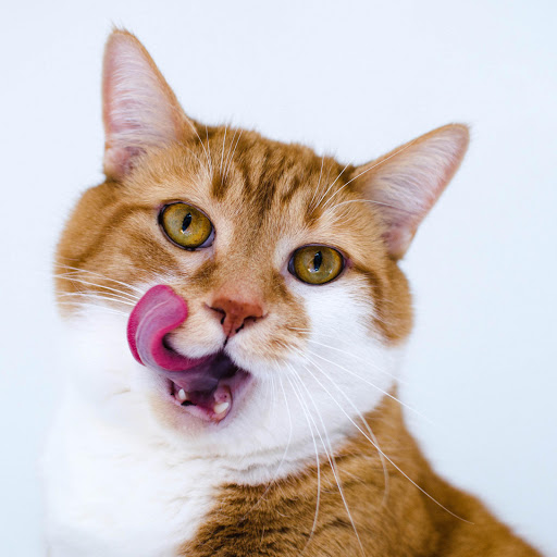 Hd-177859-ascw177859