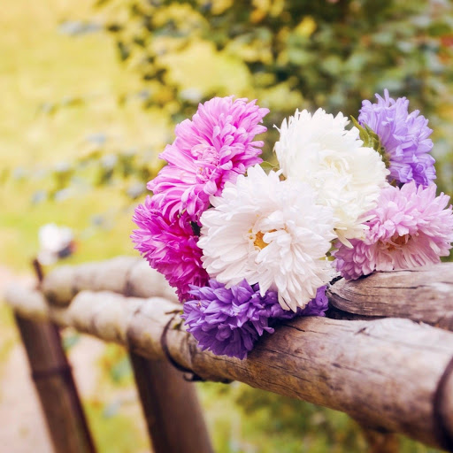 Hd-171751-ascw171751