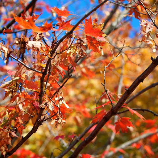 Hd-143148-ascw143148