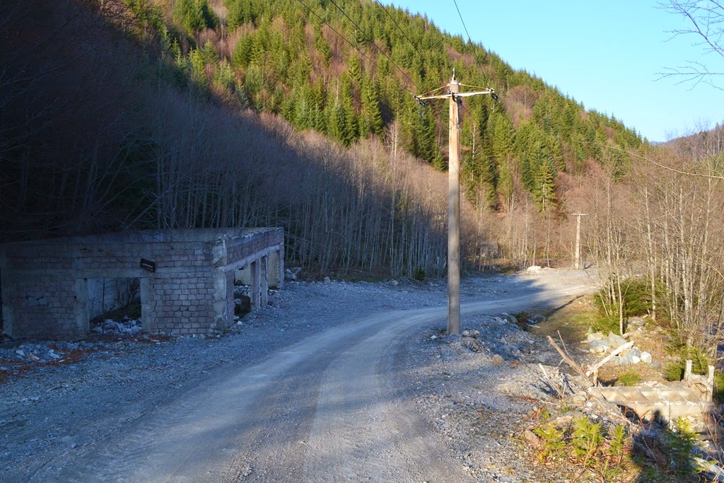 [DSC_70263.jpg]