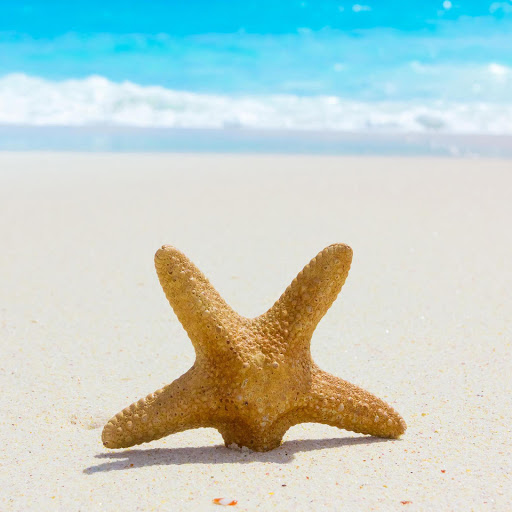 Hd-190749-ascw190749