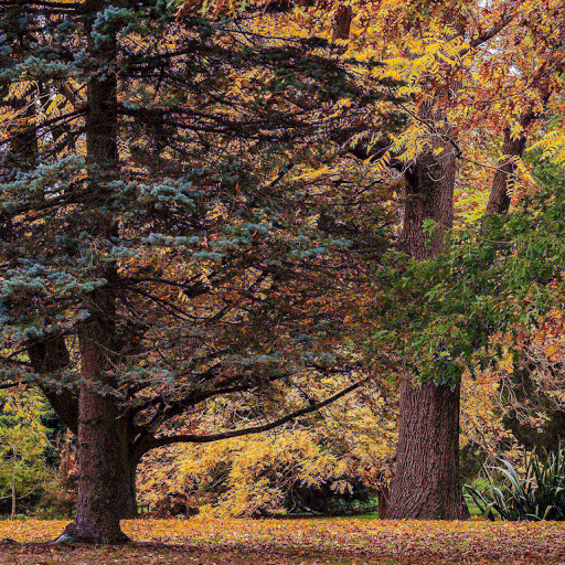 Hd-183128-ascw183128