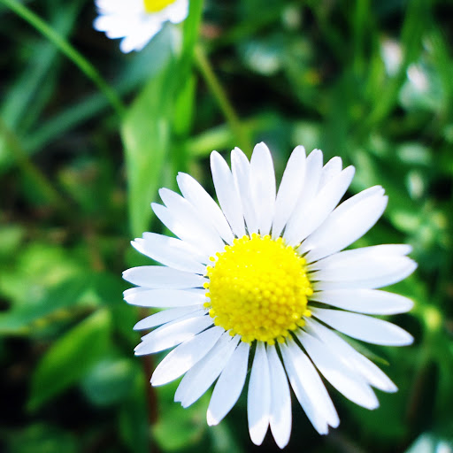 Hd-157296-ascw157296