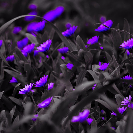 Hd-138347-ascw138347