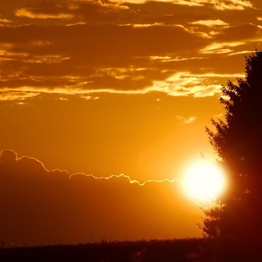 Hd-131260-ascw131260