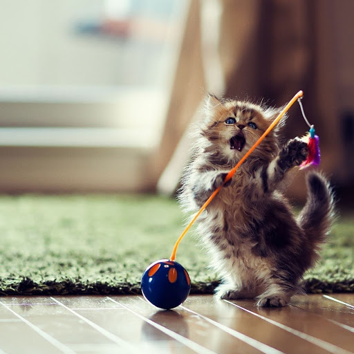 Hd-141593-ascw141593