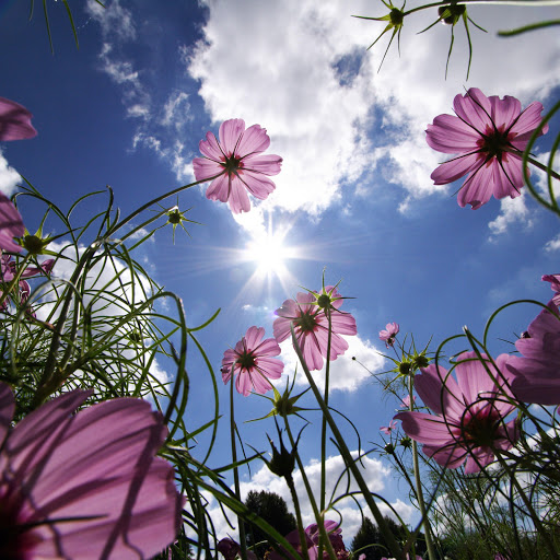 Hd-154174-ascw154174