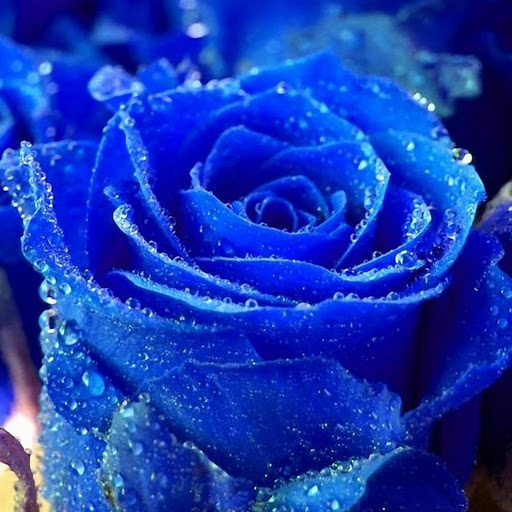 Hd-168428-ascw168428