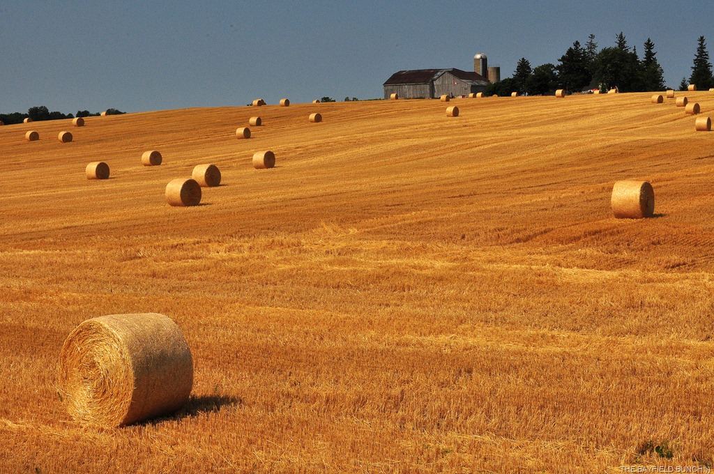 [DSC_0002%255B4%255D.jpg]