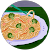 nisa haleem nisa haleem