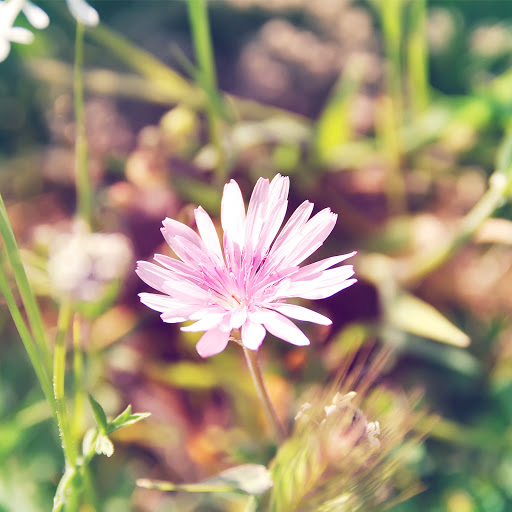 Hd-136950-ascw136950