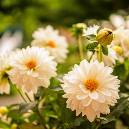 Hd-147105-ascw147105