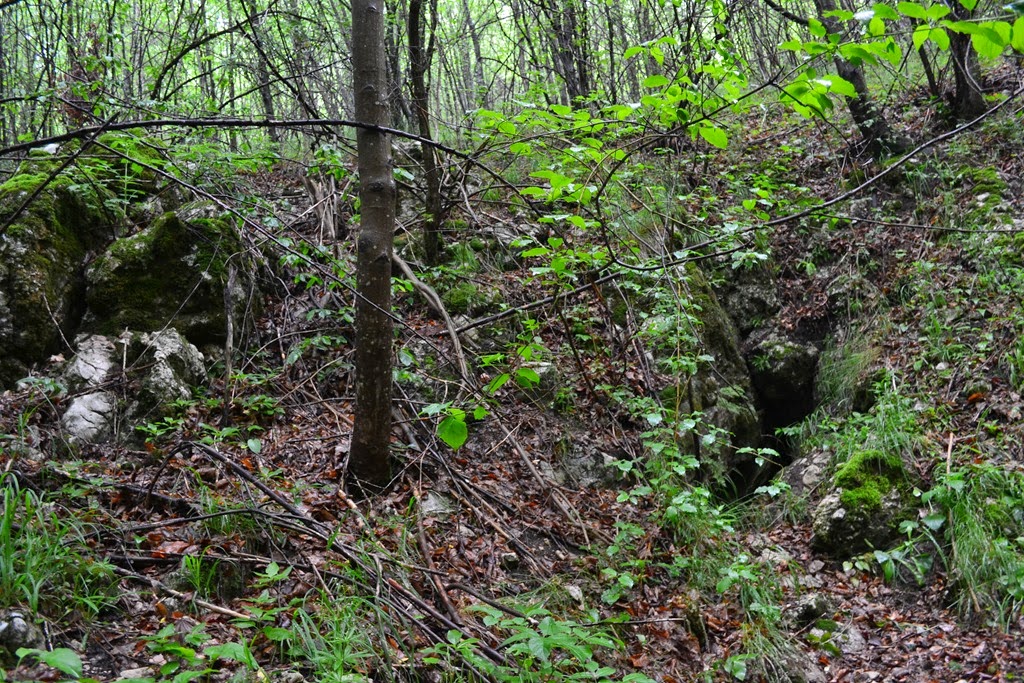 [DSC_31293.jpg]