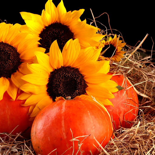 Hd-138009-ascw138009