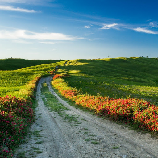 Hd-141165-ascw141165