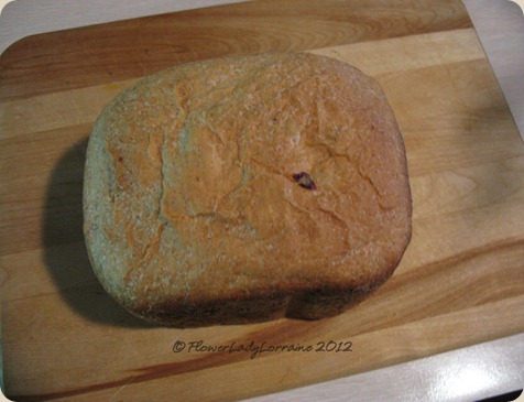 11-04-oatmeal-bread