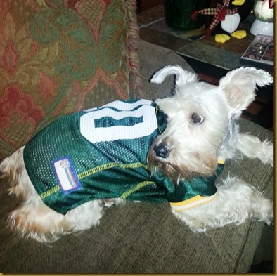 gracie in packer costume