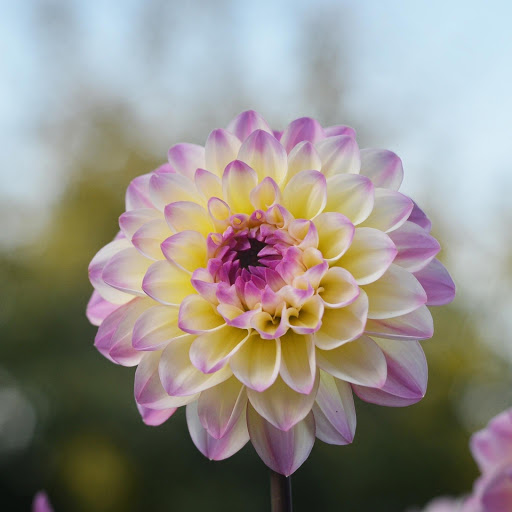 Hd-182033-ascw182033