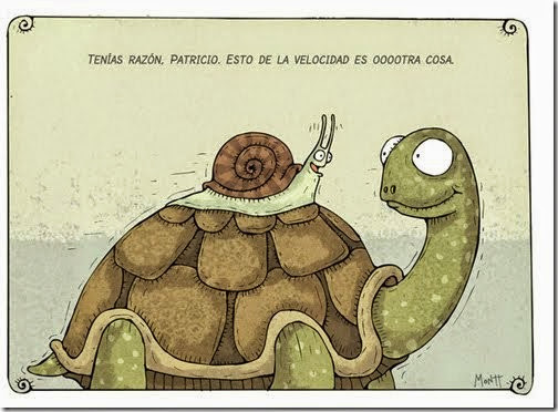 humor tortugas (37)