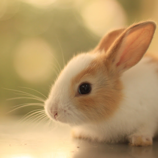 Hd-174887-ascw174887