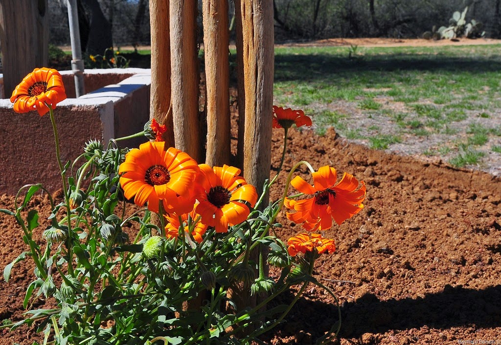 [DSC_0007%255B3%255D.jpg]