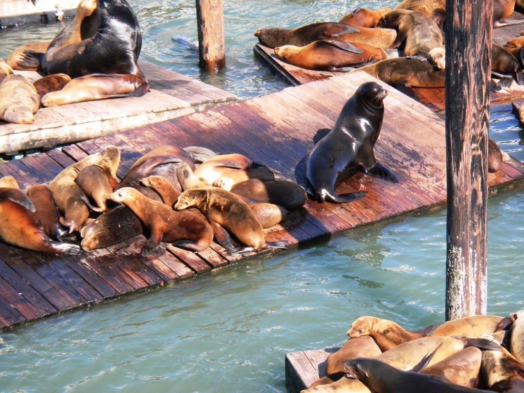 [DSCN2865%2520-%2520Kopie%255B6%255D.jpg]