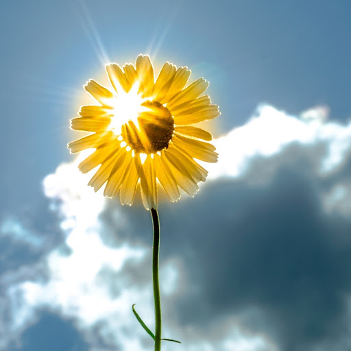 Hd-156733-ascw156733