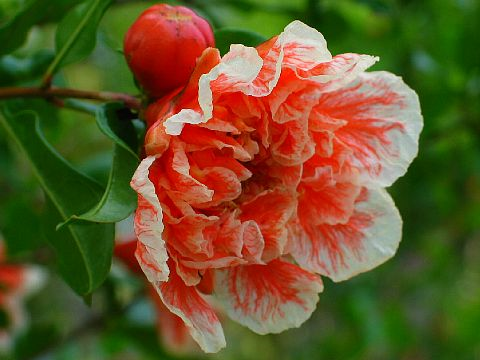 [image%255B81%255D.png]