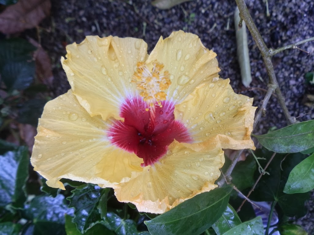 [PA020018%255B4%255D.jpg]