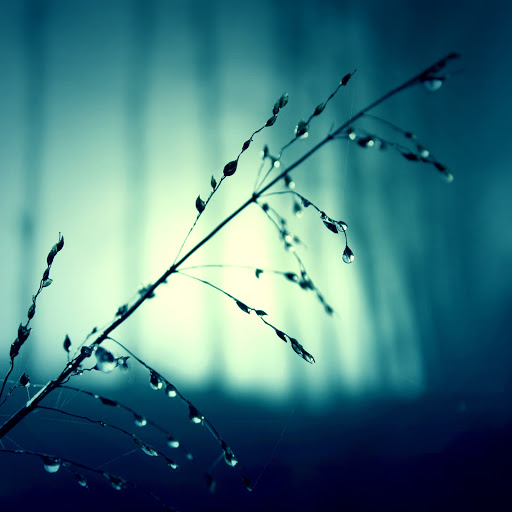 Hd-165444-ascw165444