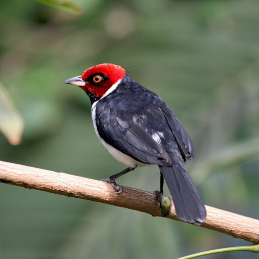 Hd-183955-ascw183955