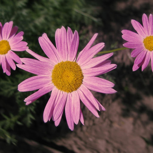 Hd-174224-ascw174224