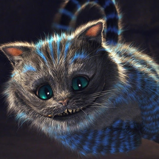 Hd-164970-ascw164970