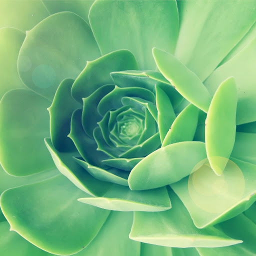 Hd-164082-ascw164082