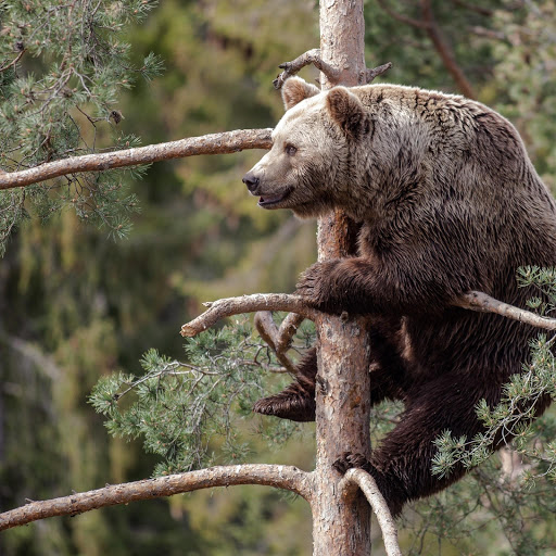 Hd-160970-ascw160970