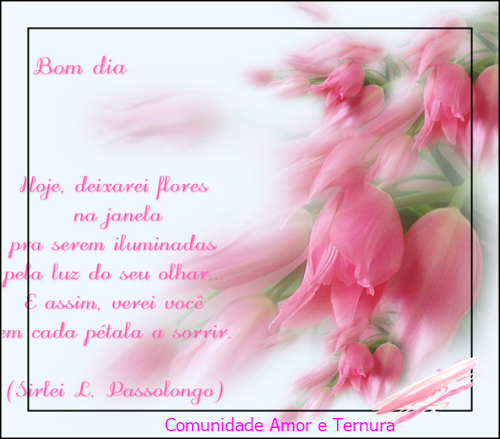 cart%C3%A3o+tulipa+rosa+2gf.png