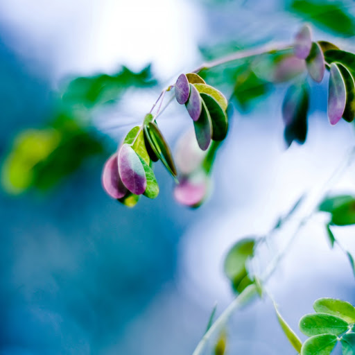 Hd-145719-ascw145719